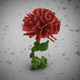 Image for article titled This Flower Is Beautiful, and It's Also Not a Flower At All